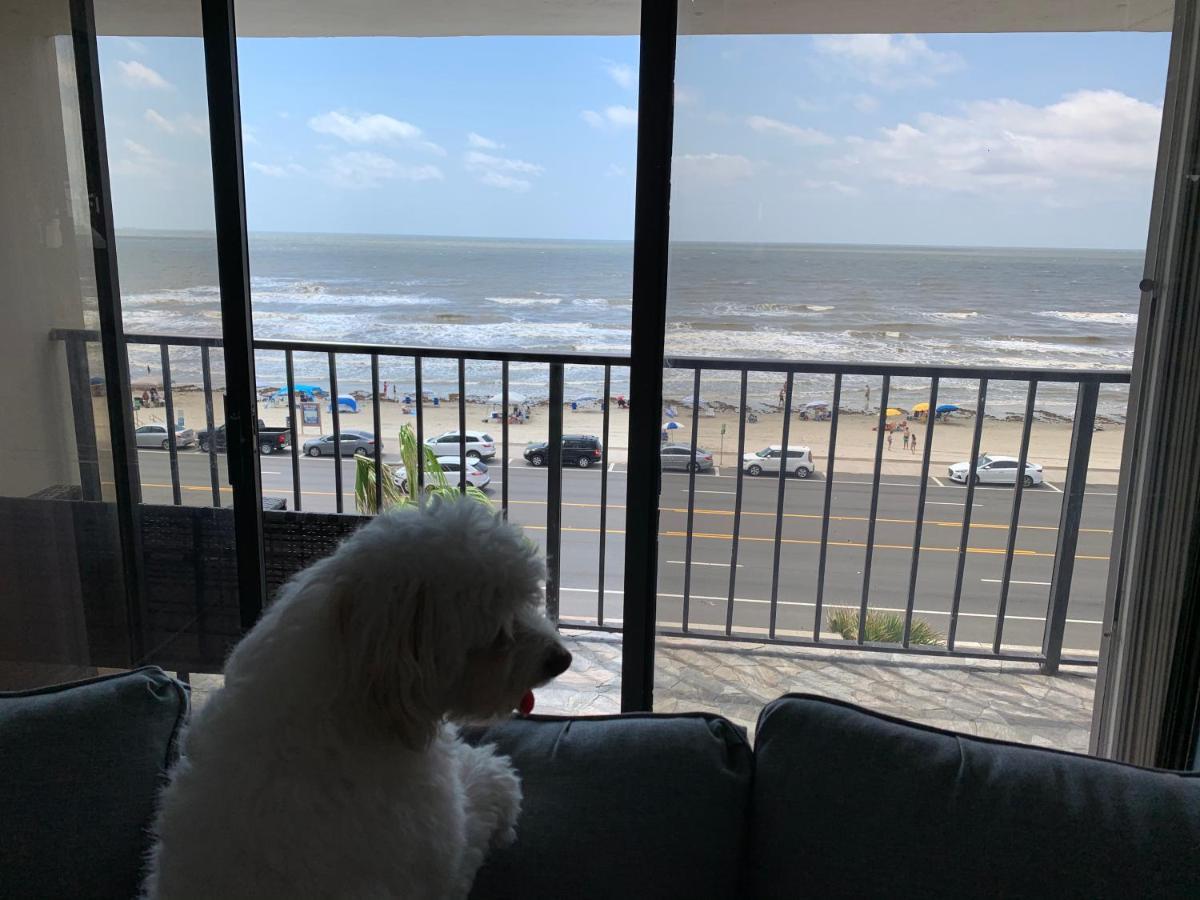 Amazing And Spectacular Ocean And Beach Views In Galveston Eksteriør billede